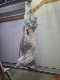 Beef side