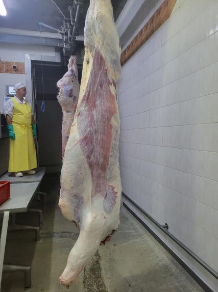 Foto Beef side