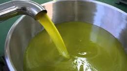 Virgin Olive Oil • 20500Kg - 25000Kg
