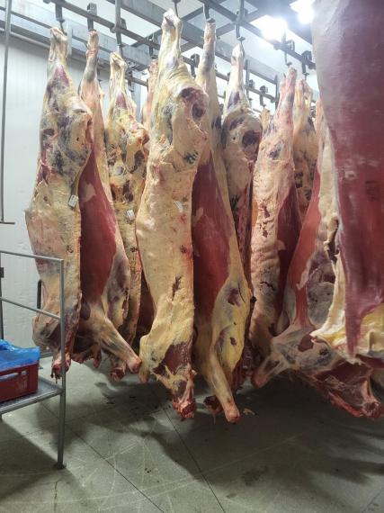 Foto Beef sides