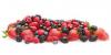 Foto Forest fruits