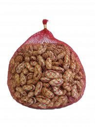 Pinta Bean