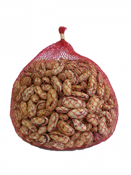 Foto Pinta Bean