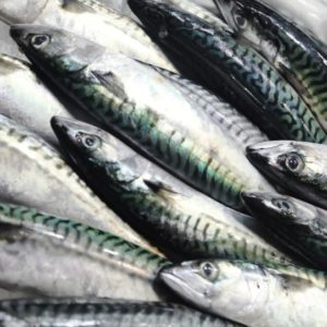 Foto Canned of mackerel fillets in olive oil 150 gr