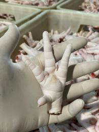 Chicken feet