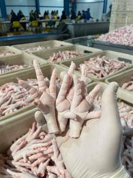 Chicken feet