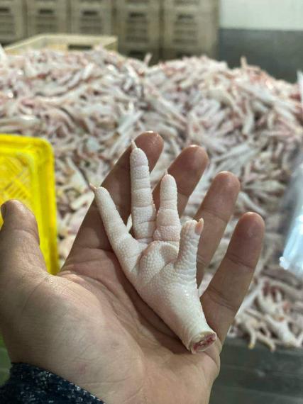 Foto Chicken feet