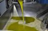 Foto Olive oil - Bulk for packers
