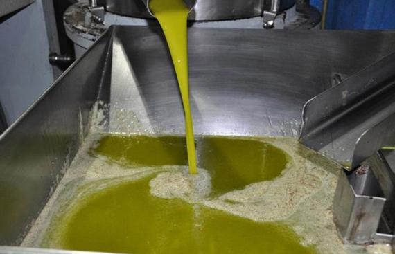 Foto Olive oil - Bulk for packers