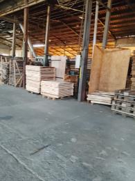 Pelet Further Nuevo Grosor 13-15 [Trabajamos solos con clientes finales sin intermediaries] Bajo contrato de temporada