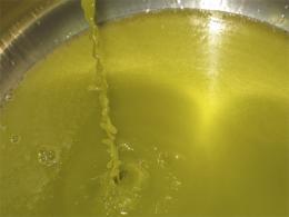 Pomace Olive Oil • IBC 1000L