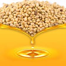 Soybean oil | Technical DAP Germany |《N°0001