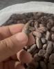 Foto Cocoa of the  Araucano Tame  variety refers ✓Ultra Prime quality©