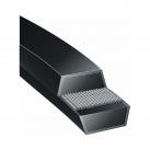 curea trapezoidală poly-V