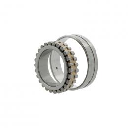 rulment radial cu role cilindrice NN3036 -AS-M-SP 10213947