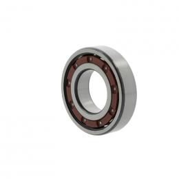 rulment radial cu bile 6011 -TB-P6-C3 10062512