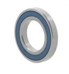 rulment radial cu bile 16004 -2RS 10127156