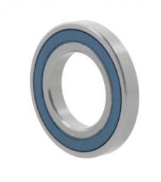 rulment radial cu bile 1604 -2RS 10127194