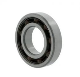 Радиальные шарикоподшипники 6000 -C-Z-TVH (-Z-TVH) 10281020