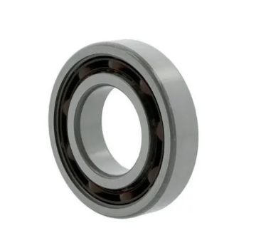 Фото Радиальные шарикоподшипники 6000 -C-Z-TVH (-Z-TVH) 10281020