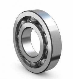 rulment radial cu bile 6004 10127432