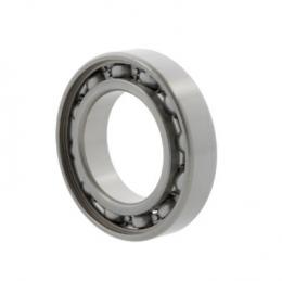 Радиальные шарикоподшипники 6004 -C (open) 10104539