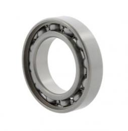 rulment radial cu bile 6005 10170407