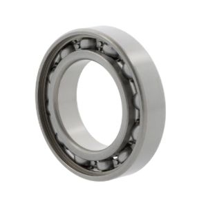 Foto rulment radial cu bile 6005 10170407