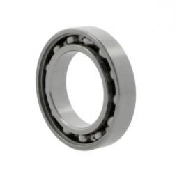 rulment radial cu bile 6005 -C3 10051860