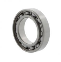 rulment radial cu bile 6005 C3 10163859