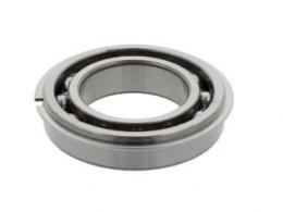 Радиальные шарикоподшипники 6005  NRCM 10163861