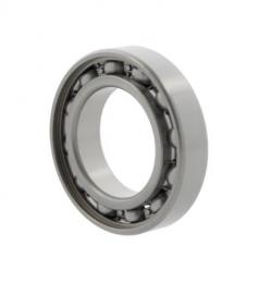 rulment radial cu bile 6007 10215841