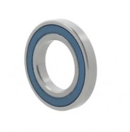 Радиальные шарикоподшипники 6007 -NSE9CM 10163885