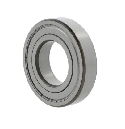 Foto rulment radial cu bile 6007  ZZECM 10163891