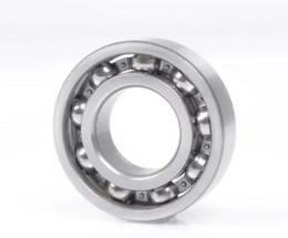 rulment radial cu bile 61700 10144465