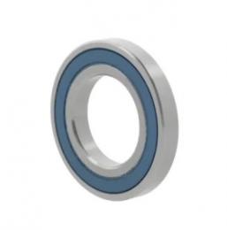 rulment radial cu bile 6202 -2NKE9CM 10203887