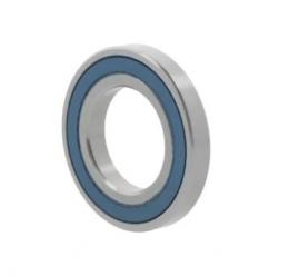 Радиальные шарикоподшипники 6300 -2RS2-C3 10071918