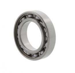 rulment radial cu bile 6301 10052097