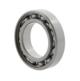 rulment radial cu bile 6304 10170444