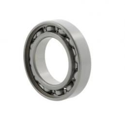 Радиальные шарикоподшипники 6305 10052120