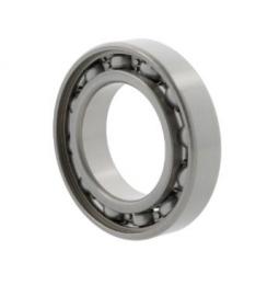 rulment radial cu bile 635 10028630