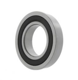 Радиальные шарикоподшипники F61803 -2RS 10126731