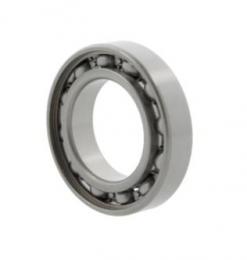 Радиальные шарикоподшипники S61701 10127921