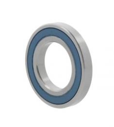 rulment radial cu bile 6004 -2NSE9CM 10163851