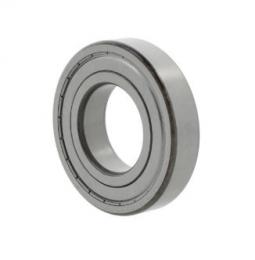 rulment radial cu bile 6005 -2Z 10051861