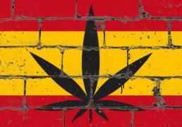 CBD de cáñamo en toda Europa: España