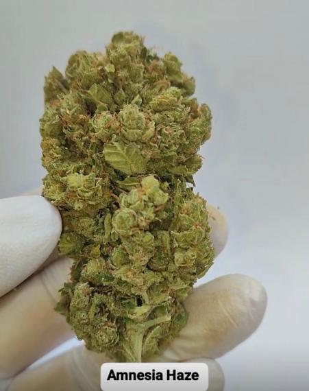 Foto amnesia haze