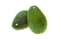 Aguacate mediano